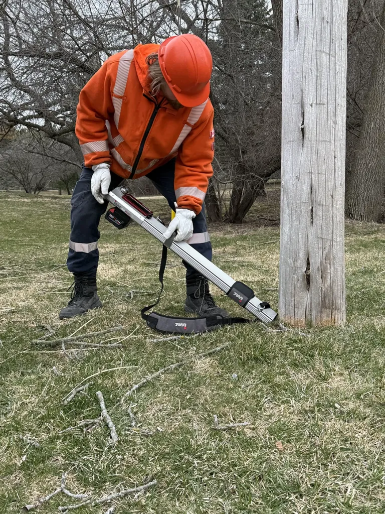 Utility pole testing using Resistography technology