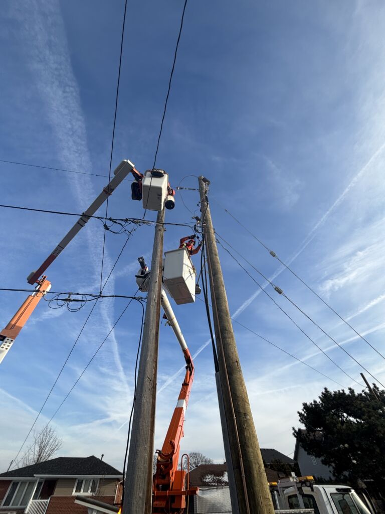 Distribution line construction and utility maintenance services